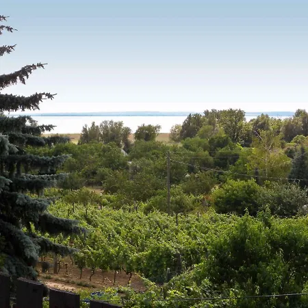 Holiday In Badacsony/balaton 18011 * בדקסוניטומאי